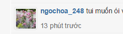 ngochoa.png