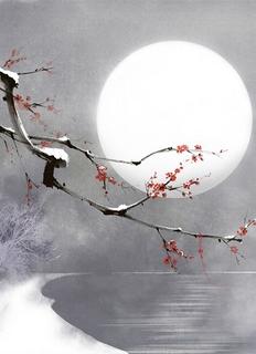 cc7e9b40ec63d776848796a4c90efdb2--chinese-art-hoa.jpg
