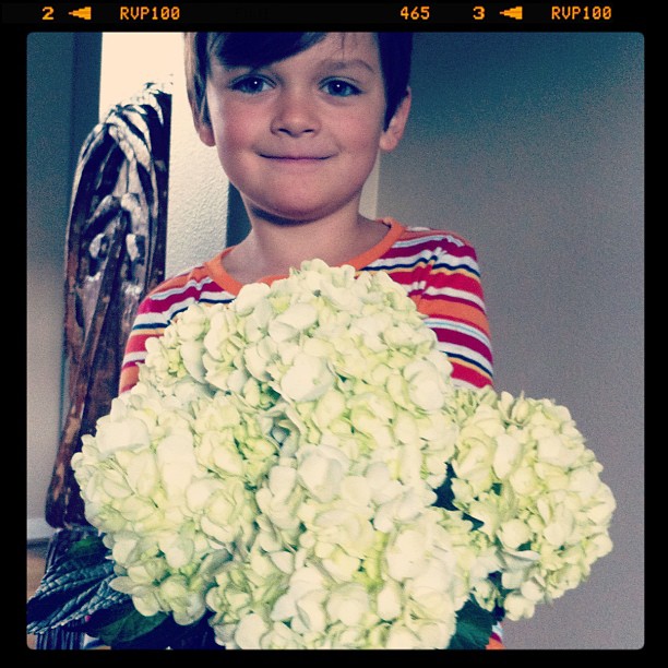 flowers.jpg