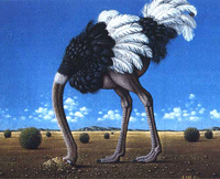 ostrich.gif
