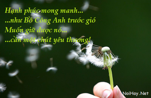 Hạnh phúc mong manh
