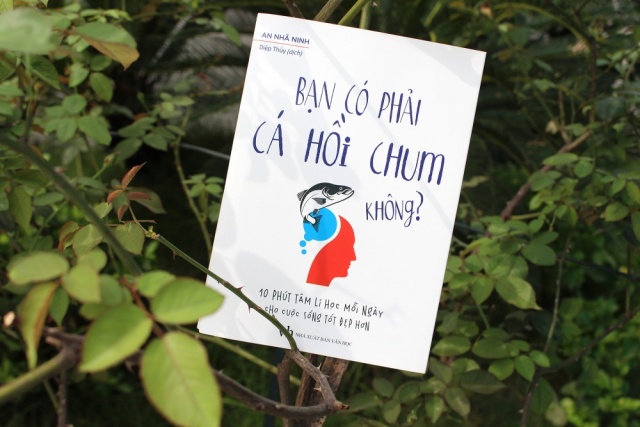 Bạn có phải cá hồi chum không?