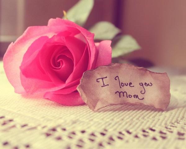 Nếu một ngày con biết yêu